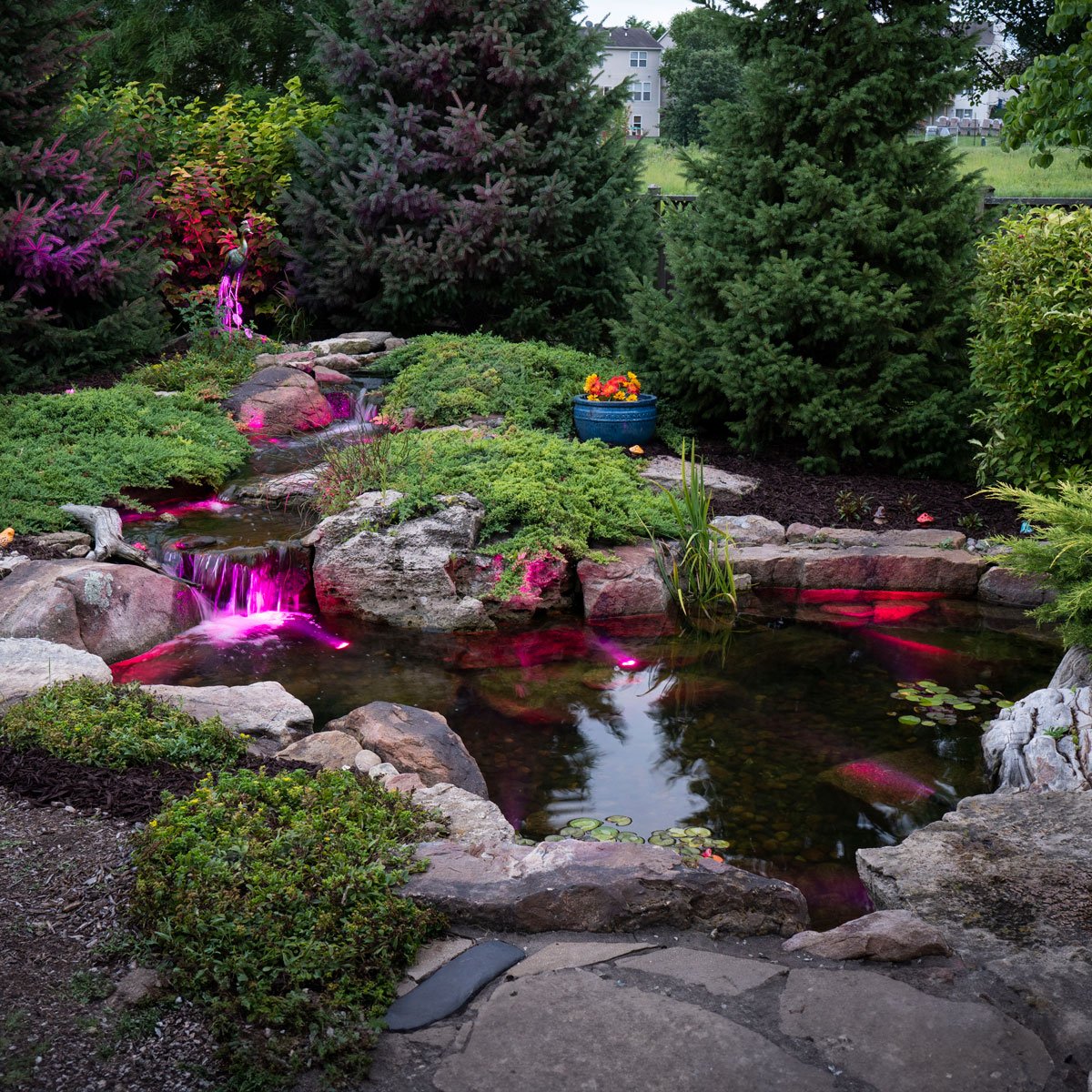 Medium Deluxe Pond Kit 11′ X 16′